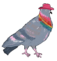 Pigeon Paloma Sticker