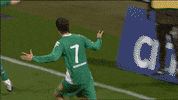 bundesliga kruse GIF by SV Werder Bremen