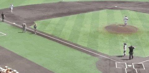 Super Regional Baseball GIF by NCAA Championships