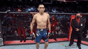 Tony Ferguson Sport GIF by UFC