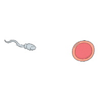 kiwu baby transfer fertility ivf Sticker
