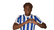 Home Facepalm Sticker by Hertha BSC