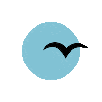bird_spective community sky flying birds Sticker