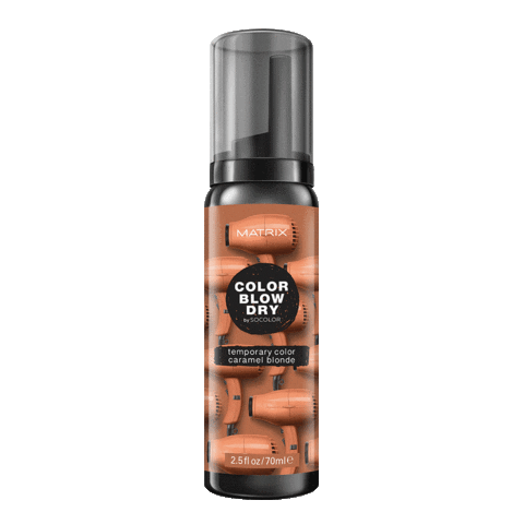 Color Blow Dry Sticker by Matrix