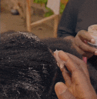 AbasseLyon giphyupload GIF