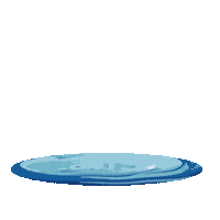 Killer Whale Water Sticker by Krab