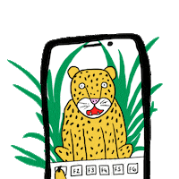 cat instagram Sticker