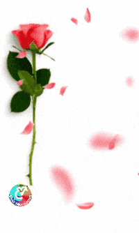 Mama No Existe GIF by Murcianys LLC