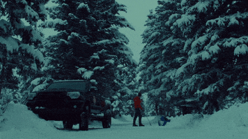 nicole doc GIF by Space