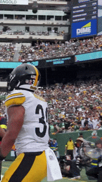 Excited Celebration GIF by Pittsburgh Steelers