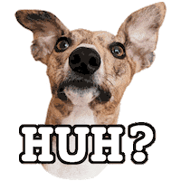 Dog What Sticker by Macattack