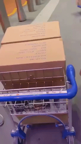 zhangxinzheng giphyupload GIF