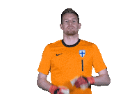 Euro Cup Football Sticker by Huuhkajat