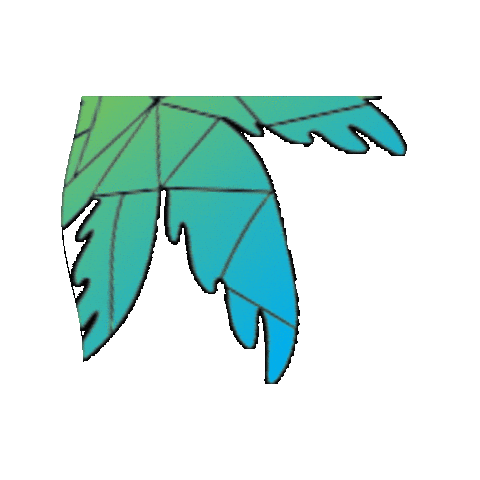 ConnexFM giphygifmaker Sticker