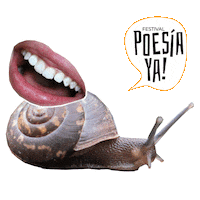 Cultura Sticker by Centro Cultural Kirchner
