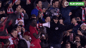 Happy Sport GIF by Play Sports