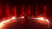 Shania Twain GIF by NBC