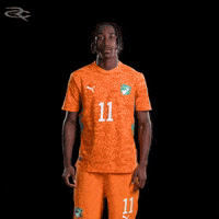 Fifa World Cup Elephants GIF by Respective
