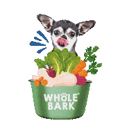 Petfood Dietabarf Sticker by Whole Bark