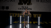 Ncaa Zach GIF by Mizzou Athletics