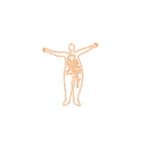 Abby Wambach Sticker by Random House