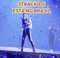 Stray Kids Skz GIF