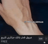 Algeria Dz GIF