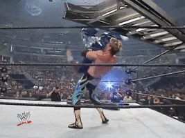 wwe sports wwe wrestling 2005 GIF