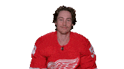 Red Wings Sport Sticker by Detroit Red Wings