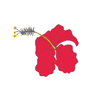 Malaysia Hibiscus Sticker by Digi