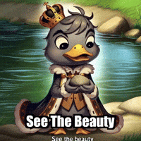 Appreciation Wisdom GIF by sirduckbeth