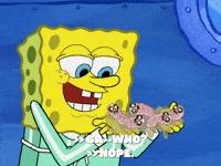 season 6 pet or pets GIF by SpongeBob SquarePants
