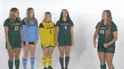 Huntington University GIF by FDN Sports