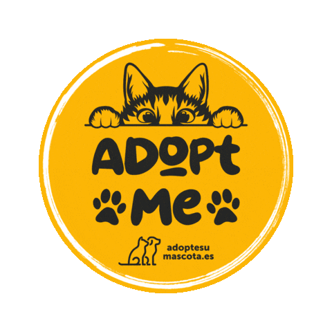 adoptesumascota giphyupload cat gato adopt Sticker
