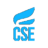 CSEtopsportacademie cse cse zwolle cse topsportacademie cse logo Sticker