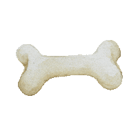 dog Sticker