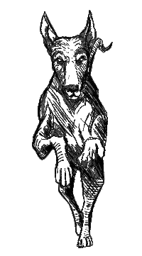 tijuana tj Sticker by Xolos