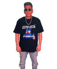 Depinga Sticker by Ariel de Cuba