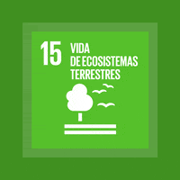 Ods Act4Sdg GIF by MY World Mexico