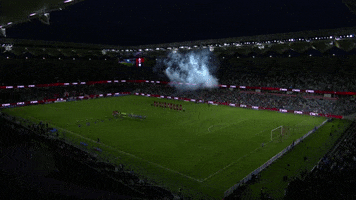 Western Sydney Wanderers Wsw GIF by wswanderersfc