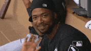 Regular Season Sport GIF by MLB