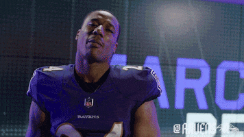 Football Celebrate GIF by Baltimore Ravens