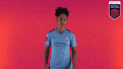 Manchester City Ok GIF by Barclays FAWSL