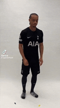 Spurs Tottenham GIF