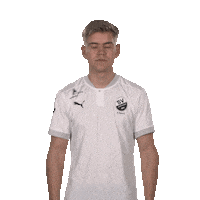 Sv Sandhausen What Sticker by Bundesliga