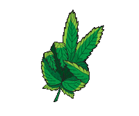 Smoke Love Sticker by GanjaTrack