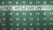 Tgoe GIF by iwusports