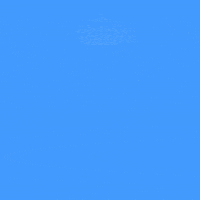Voting 2020 Election GIF by INTO ACTION