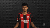 Eintracht Frankfurt GIF by Bundesliga