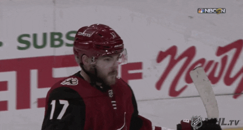 nhl giphyupload sports hockey hug GIF